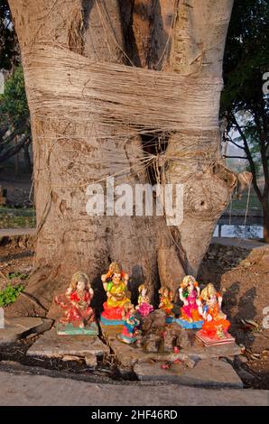 Small idols of Goddess Lakshmi and a Banyan tree, situated outside the Shri Panchalinga Prasanna Temple, located at Junnar, near Pune, Maharashtra, In Stock Photo