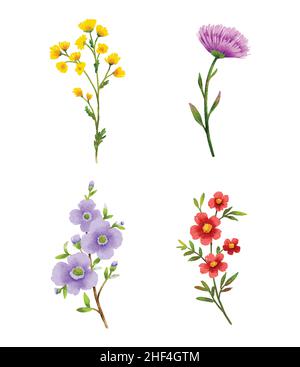 Wild flowers watercolor elements set. Stock Vector