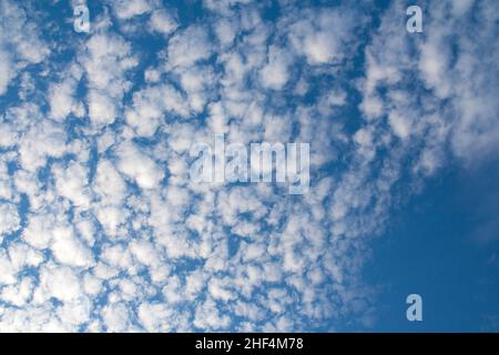 Lovely view of a blue sky with small white cumulus clouds on a summer day in Germany. Stock Photo