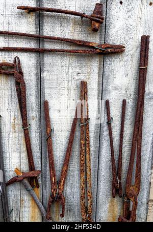 Various old rusty tools in the workshop - aged weathered rusty hand tools Stock Photo
