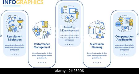 Human resources management basics rectangle infographic template Stock Vector