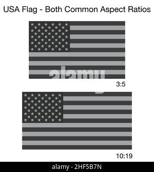 Accurate correct grayscale USA Flags both common sizes aspect ratios Stock Vector