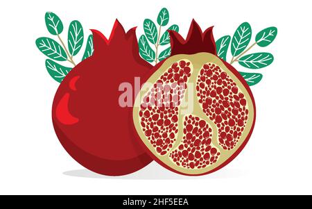 Pomegranate. Pomegranate is a whole fruit and half cut. Stock Vector