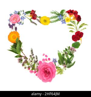 Heart shaped wreath with summer herbs and flowers used in naturopathic herbal medicine. Natural flora health care concept, Mothers Day Valentines Day. Stock Photo
