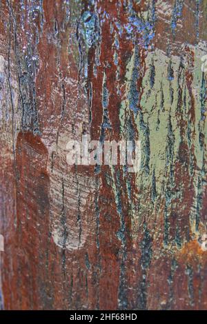 lacquered wood texture. tree trunk painted with lacquer to protect the wood surface from being damaged. Vertical Stock Photo