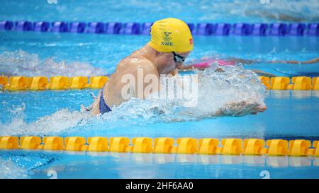 JULY 26th, 2021 - TOKYO, JAPAN: Sophie Hansson of Sweden in action during the Women's 100m Breaststroke Semifinal at the Tokyo 2020 Olympic Games (Pho Stock Photo