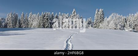 Footprint in deep snow in winter landscape Stock Photo