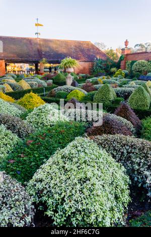 Terracotta urn and clipped and sculpted hedges and shrubs in the Walled Gardens, RHS Garden, Wisley, Surrey in winter Stock Photo