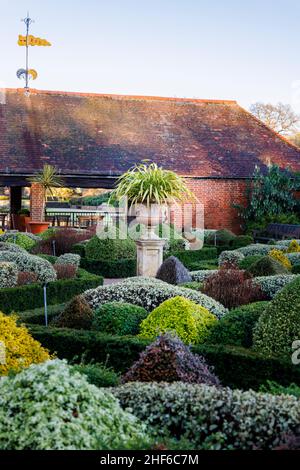 Terracotta urn and clipped and sculpted hedges and shrubs in the Walled Gardens, RHS Garden, Wisley, Surrey in winter Stock Photo