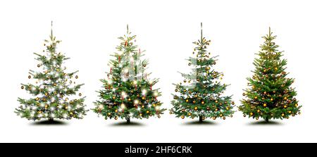 Beautiful Christmas trees isolated on a white background Stock Photo