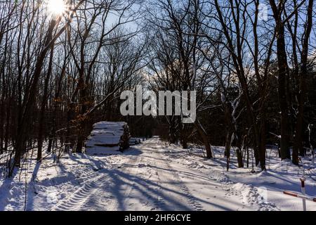 Forest path in winter with lots of snow for hiking and walking Stock Photo