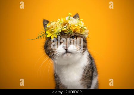 tabby white cat wearing yellow rain coat outdoors in bad weather