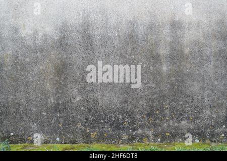 Old concrete wall with dampness and mold with weeds on the bottom Stock Photo