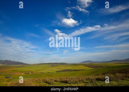 Wind turbines near Caledon,  western Cape,  South Africa. Stock Photo