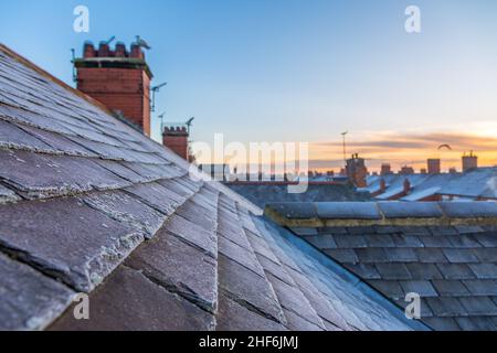 Frost covered roof tiles and chimneys and sunrise in an urban scene Stock Photo