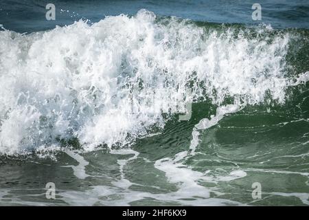 An angry turquoise green color massive rip curl of a wave as it rolls along a beach. The white mist and froth from the wave are foamy and fluffy. Stock Photo