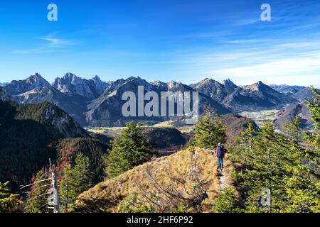 Hikers on the way on the Tegelberg near Füssen on a sunny day in autumn. Mountains and forests under a blue sky. Allgäu and Ammergau Alps,  Bavaria,  Germany,  Europe Stock Photo