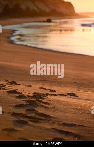 Sunrise on Albufeira Beach,  Atlantic Ocean,  backlit,  footprints in the sand Stock Photo
