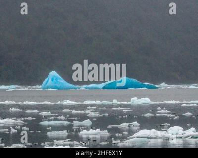 Icebergs float in the Parque Nacional Laguna San Rafael, Patagonia, Chile Stock Photo