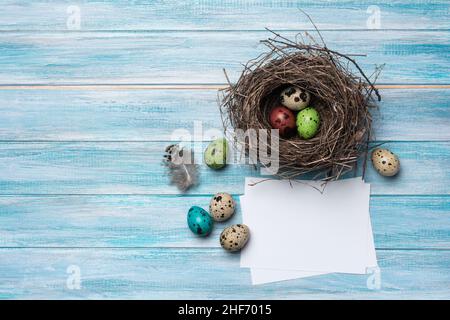 Small colorful painted quail eggs as symbol of Easter day in bird nest as traditional decoration and mock-up of card on blue wooden background Stock Photo