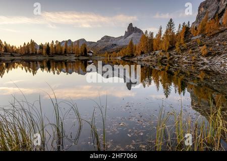 Lago Federa in golden autumn. Stock Photo