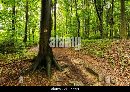 Europe,  Poland,  Swietokrzyskie,  Swiety Krzyz Stock Photo