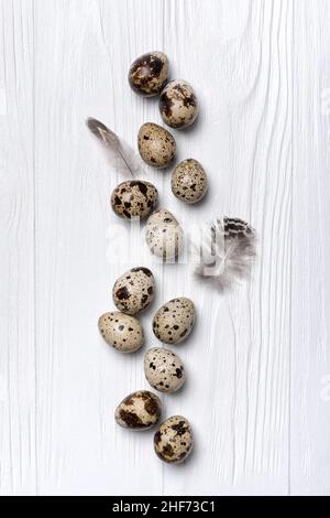 Top view of small quail eggs and bird feathers on white wooden background Stock Photo
