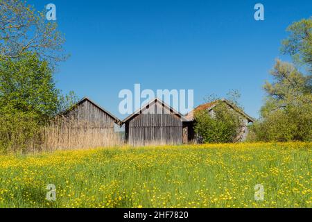 Boat huts in Dießen am Ammersee,  Upper Bavaria,  Bavaria,  Germany Stock Photo