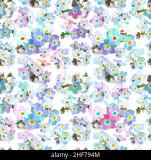 Beautiful flowers seamless pattern on white background. Floral texture for design, textile and background. forget-me-nots flowers Stock Photo