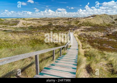 Boardwalk through the dunes to the beach,  Kampen,  Sylt Island,  Schleswig-Holstein,  Germany Stock Photo