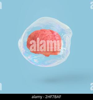 Creative minimal scene with a human brain isolated  in a transparent soap bubble levitating in the air on blue background. Stock Photo