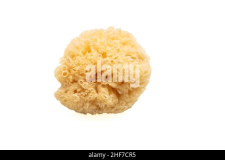 Natural sponge isolated cutout on white background. Yellow color accessory for bath, face cleaning and body care Stock Photo