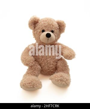 Teddy bear sitting isolated on white background. Cute brown stuffed animal, kid gift toy Stock Photo