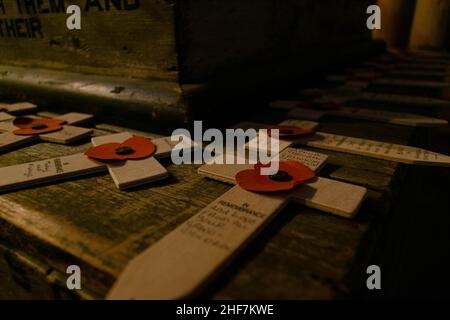 Remembrance poppies on wooden crosses to commemorate the loss of servicemen in world wars and conflicts. Symbol of respect, lest we forget, in memory Stock Photo