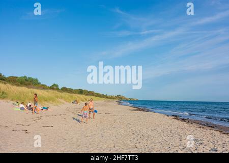 Vordingborg: beach, sea, in Klintholm Havn, Moen, Denmark Stock Photo