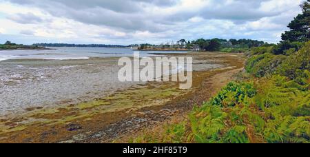 Ebbe in the Golfe du Morbihan an inland sea on the French Atlantic coast. The name of the golf comes from the Breton mor bihan,  which means 'small sea'. Stock Photo
