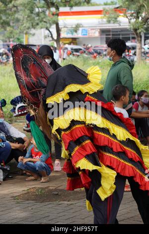 The artist performing Jaranan music dancers and playing a traditional instrument. Jaranan (kuda lumping, kuda kepang) is dance from java Stock Photo