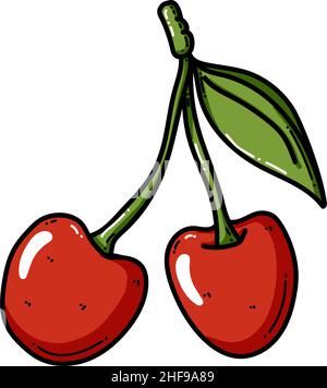 Cherry colorful vector illustration isolated on white background. Hand drawn style, cute doodle art. Agricultural concept. Fruits and berries for gardening. Healthy diet. Stock Vector