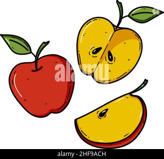 Vector apple doodle illustration. Fruit illustration for farm market menu. Healthy food design Stock Vector