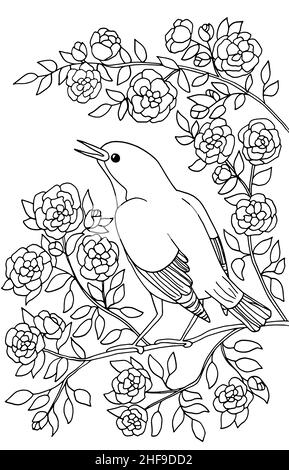 A beautiful bird is sitting on a branch of a blooming tree in flowers. Coloring page for children and adults. Vector illustration. Stock Vector