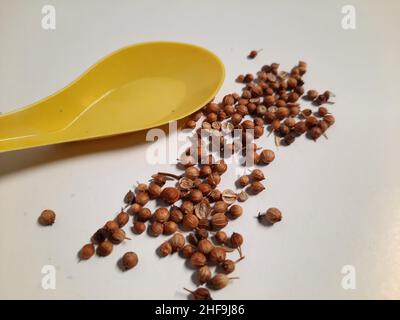 This dried coriander is ready to be used for cooking Stock Photo