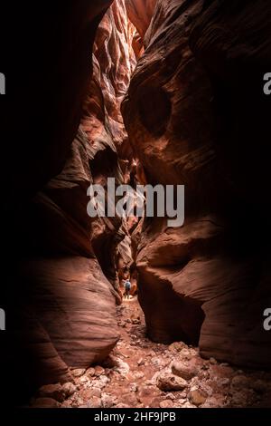 Hiker Looking Tiny Compared To The Massive Walls Of Buckskin Gulch in southern Utah Stock Photo