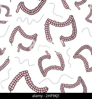 Bowel texture repeating pattern for gastroenterologist background. Fun gut shaped doodles, internal organs wallpaper Stock Vector