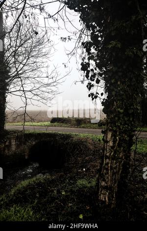 Stream of water with a brick bridge over it between trees on a foggy day in winter Stock Photo