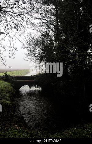 Stream of water with a brick bridge over it between trees on a foggy day in winter Stock Photo