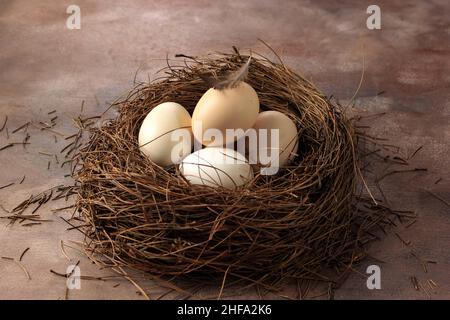Egg, Raw on Bird Nest Stock Photo