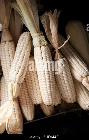 White Sticky Corn (waxy Corn), Jagung Ketan from Lombok, Indonesia Stock Photo