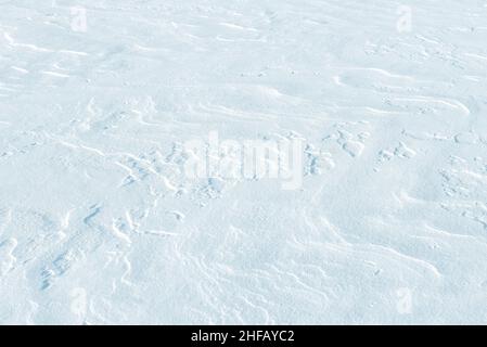 The surface of dense snow on a sunny February day Stock Photo