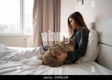 A beautiful girl in pajamas uses a laptop working remotely at home sitting on the bed, a spitz dog sits next to the hostess. copy space. Stock Photo