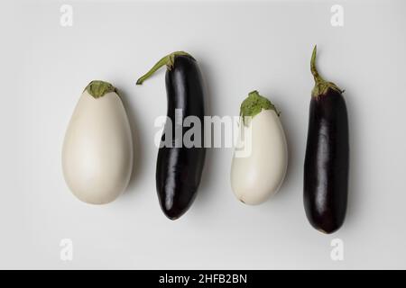 Raw ripe white and black color eggplants isolated on grey concrete background, top view Stock Photo